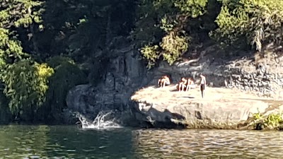 Photos of Camping Aguas Verdes&acirc;