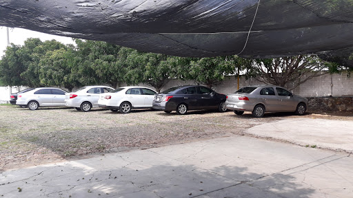 Trip Car Queretaro