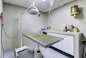 Photo n°28 de Clinique Vétérinaire Argos Marseille Plombières à Marseille (Vétérinaire)