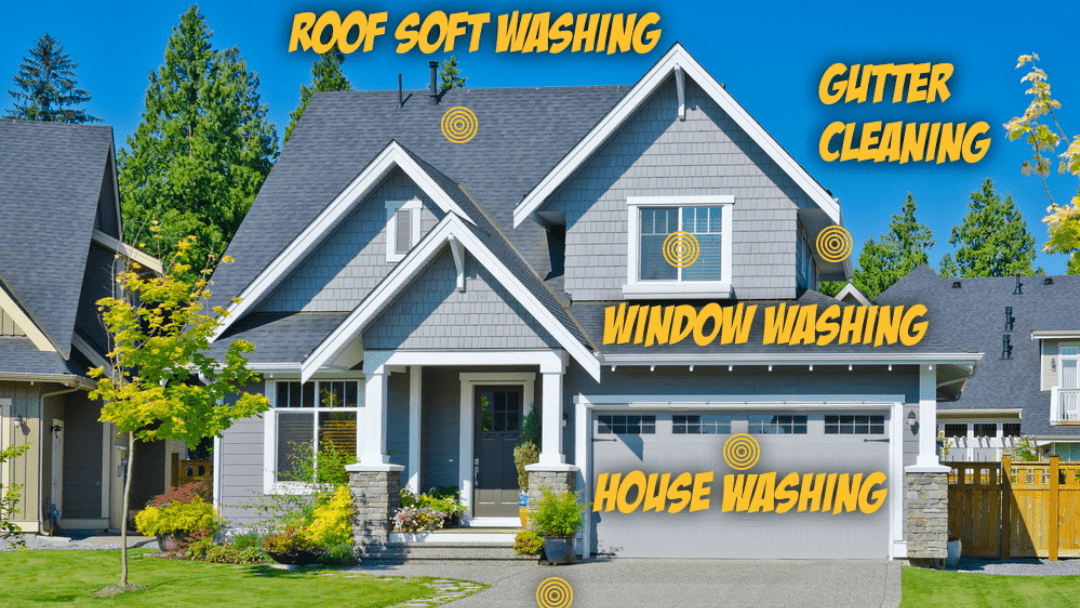 Comprehensive Window Washing Services Near Me in Elmhurst, IL