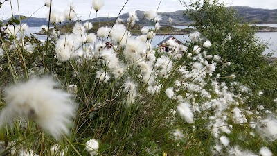 Photos of Andvik h&oslash;nseri og hytteutleie