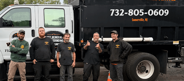 Wayne's Tree Service