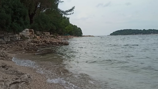 Park šuma Zlatni Rt - Liječnik