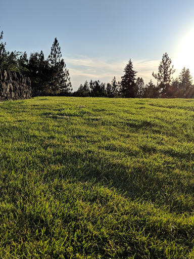 Cliff Park - Visual