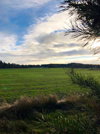 Nygårds Folkets Park - Thumbnail
