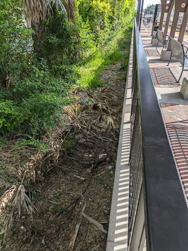 Sunrail parking - Visual