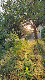 Photo n°11 de Les Déferlantes - Studios et appartements à Mimizan-Plage ouvert à l'année à Mimizan (Appartement de vacances)
