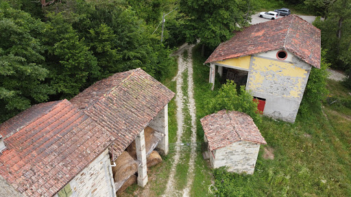 La Mora, Enza - Visual