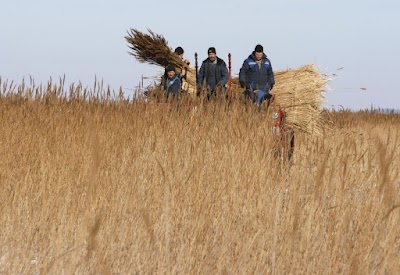 Photos of Ekodomstroy