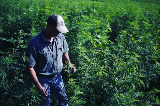 Red Cedar Farms - Thumbnail
