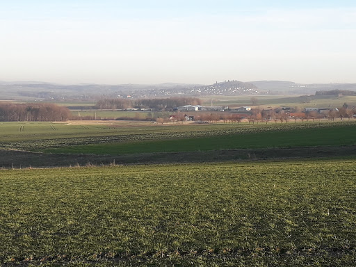 Softeis Dobra - Visual