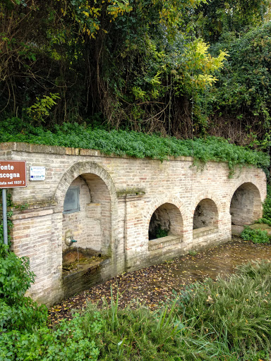 Fonte Moscogna - Visual
