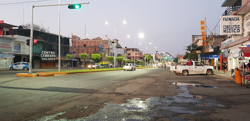 Florería Avenida - Thumbnail