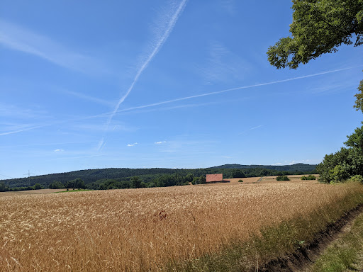 Mackenzell - Visual
