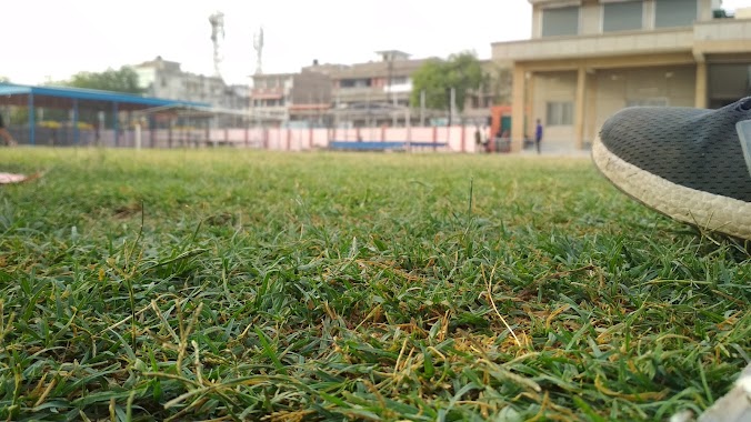 Eklavya Sports Stadium, Author: Aditya Singh