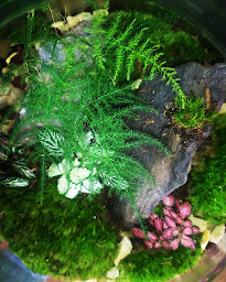 Photo n°17 de Roseflore Pepiniere à Metzervisse (Animalerie)
