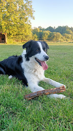 Photo n°30 de Camping Domaine de La Plantade à Les Trois-Saints (Terrain de camping)