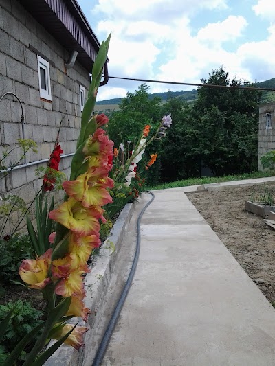 Photos of Sayt Ptikent