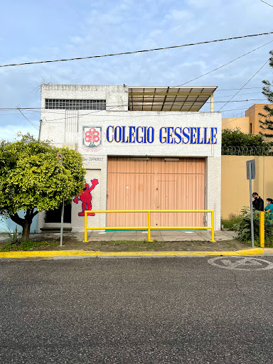 Colegio Gesselle A.C. - Thumbnail