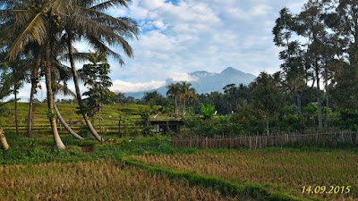 Photos of Mabes Tuak Minyak