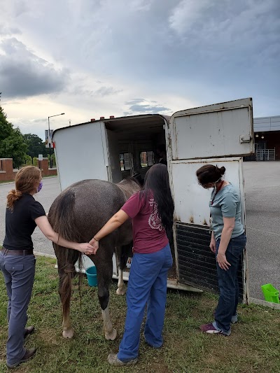 UT Veterinary Medical Center