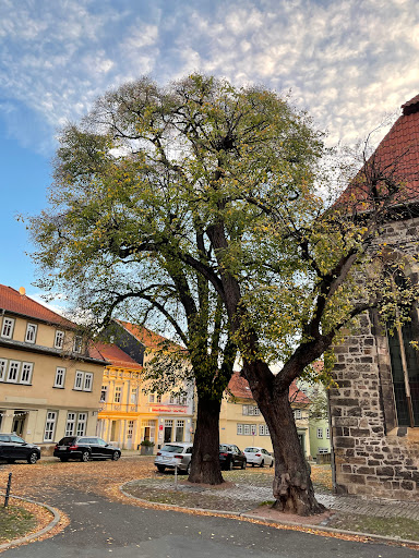 Oberkirche - Visual
