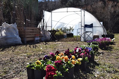 Photos of Vivero Ecoplant