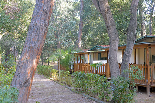 Camping Belmare - Thumbnail