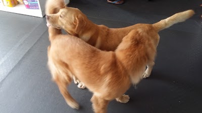 Photos of Vets & Pets Animal Hospital