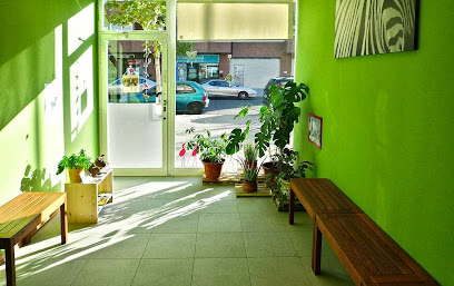 Cv. Los Ojos del Bosque