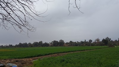 Photos of مسجد الاخلاص