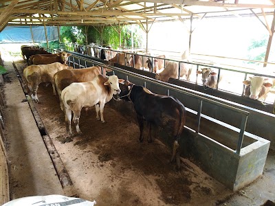 Photos of Kandang Pasir Karet