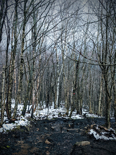 Azure Mountain Parking