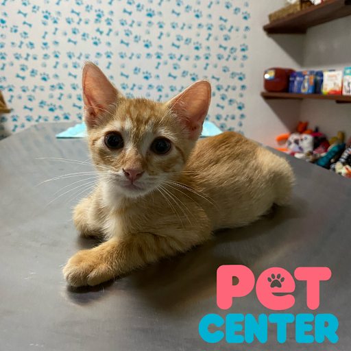 Pet Center Mx - Medicina Felina