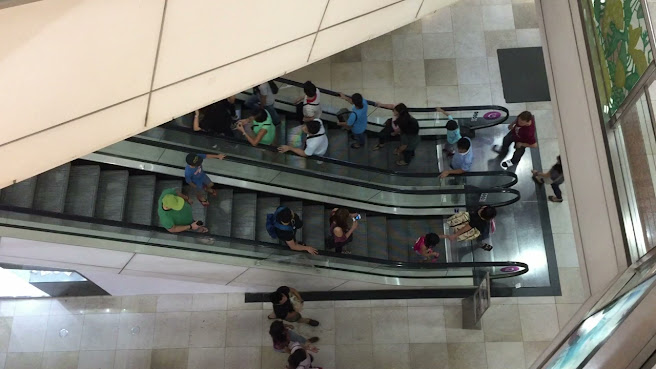 Elephant Car Wash by null