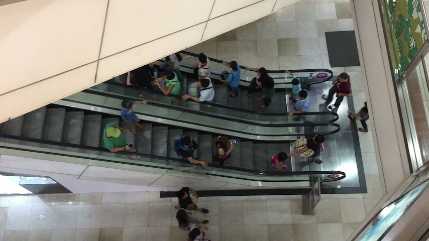 Elephant Car Wash by null