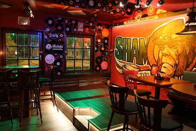 Photos of Shamrock Husum