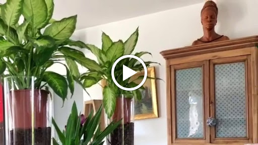 Photo de La Conciergerie Tavel-Chambres d'Hôtes Gard 30 Tavel à Tavel (30126)