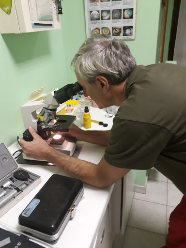 Ambulatorio Veterinario dott. Emanuele Peccioli - Thumbnail