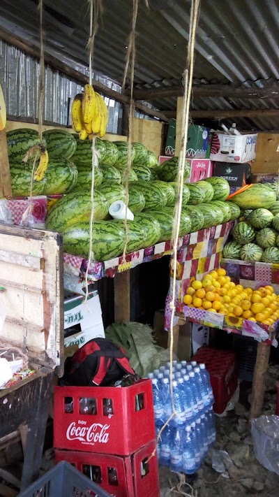 Photos of Rimpa