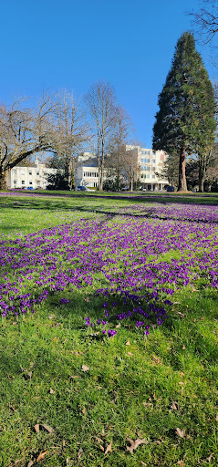 Stadtgarten Bad Honnef - Thumbnail