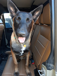 Photo n°14 de Méca Tuning Saint Tropez à Sainte-Maxime (Atelier de réparation automobile)