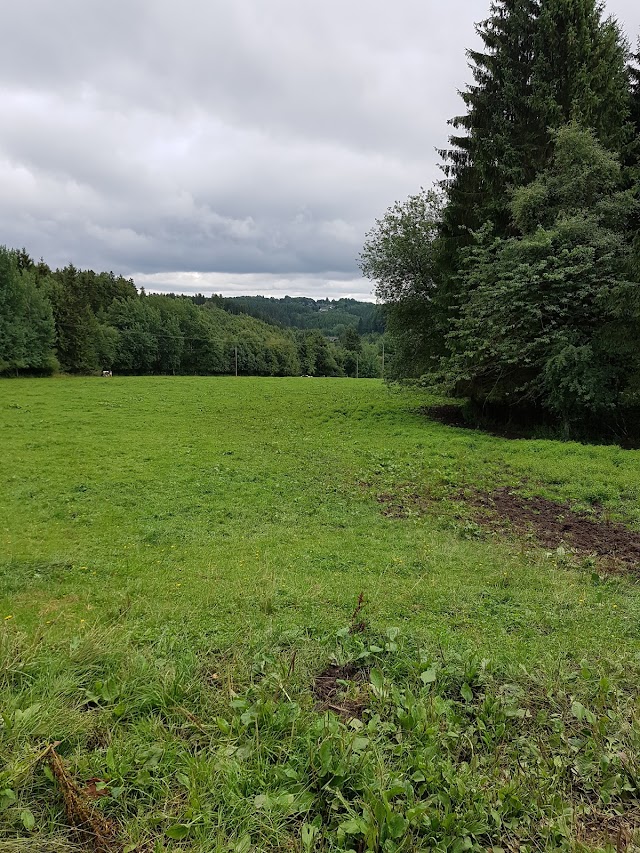 Ferienhof Vennhof - Urlaub auf dem Bauernhof in der Eifel