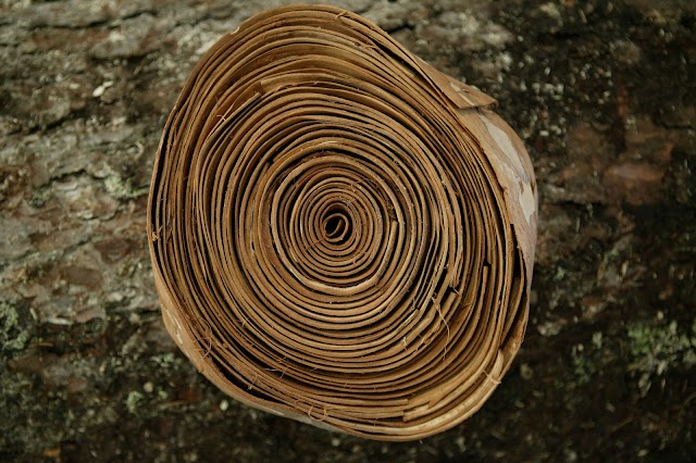 Juraflore