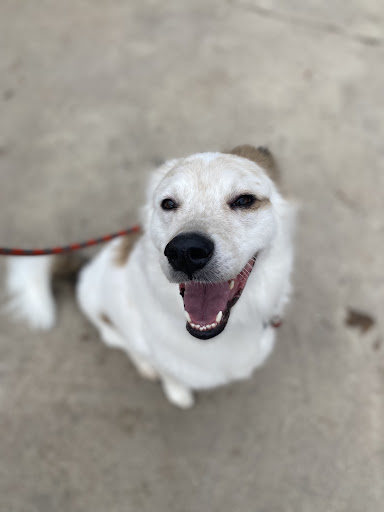 The Grooming Lounge - Waupaca - Thumbnail