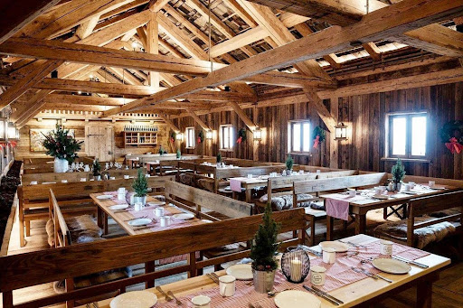 Saurüsselalm - Visual