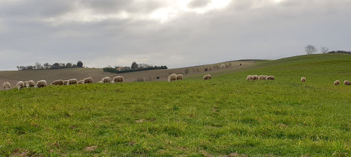 Photo de Ferme de Cabriole et Fromagerie de Cabriole à Saint-Félix-Lauragais (31540)