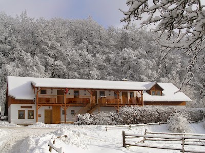 lodging