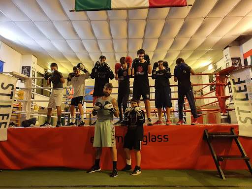 Audax Boxe Club Metauro - Thumbnail