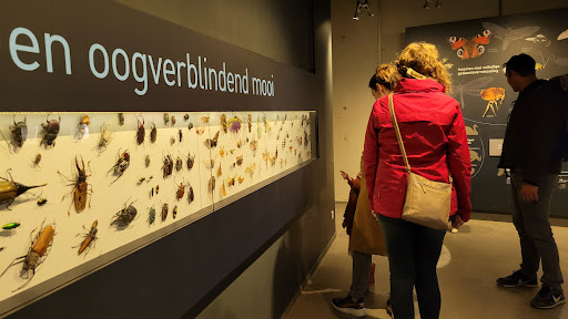 Insektenmuseum Entomopolis